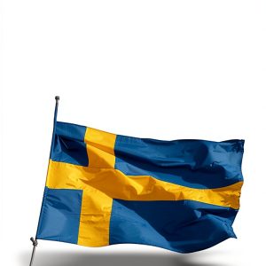 Nicholas Brealey History of Sweden Kindle eBook - 218 Pages-0