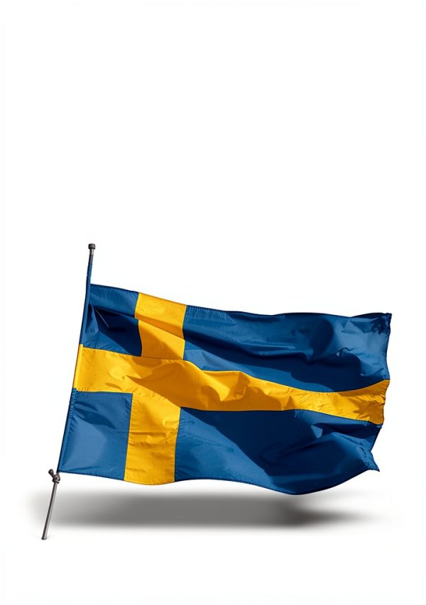 Nicholas Brealey History of Sweden Kindle eBook - 218 Pages-0